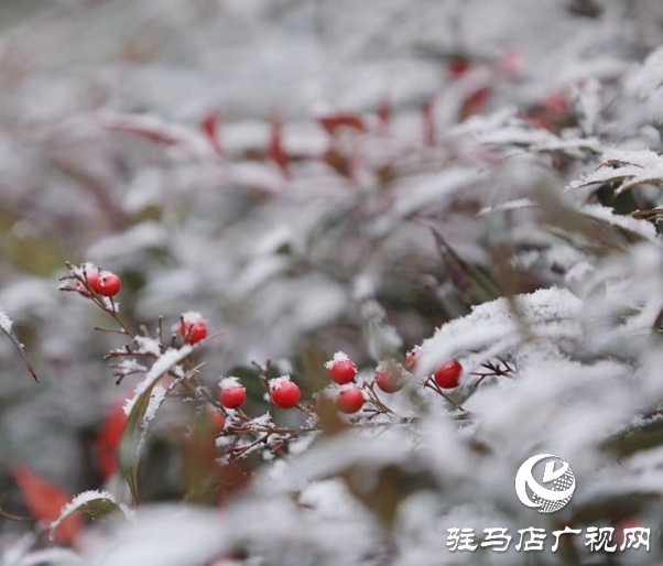 2月4日立春，農(nóng)歷又是無(wú)春年