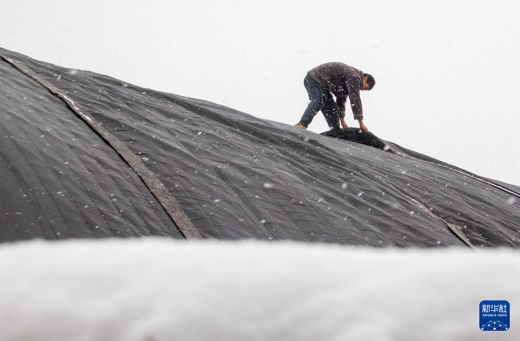 各地積極應(yīng)對低溫雨雪天氣