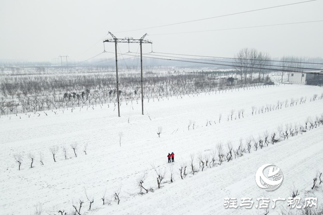 國網(wǎng)平輿縣供電公司：戰(zhàn)風雪 破堅冰 打贏春節(jié)保電攻堅戰(zhàn)