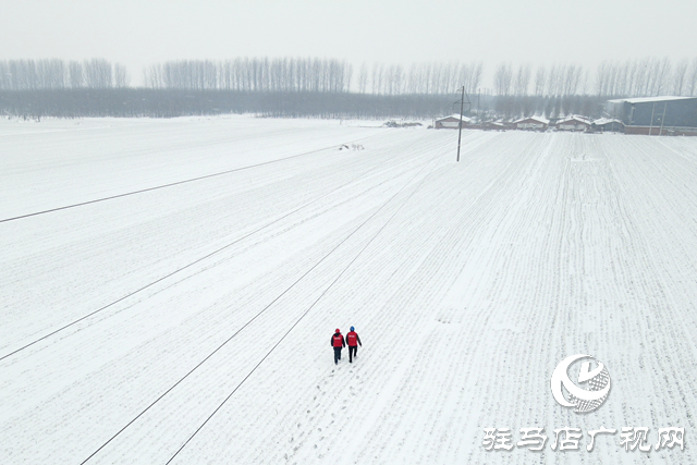 國網(wǎng)平輿縣供電公司：戰(zhàn)風雪 破堅冰 打贏春節(jié)保電攻堅戰(zhàn)