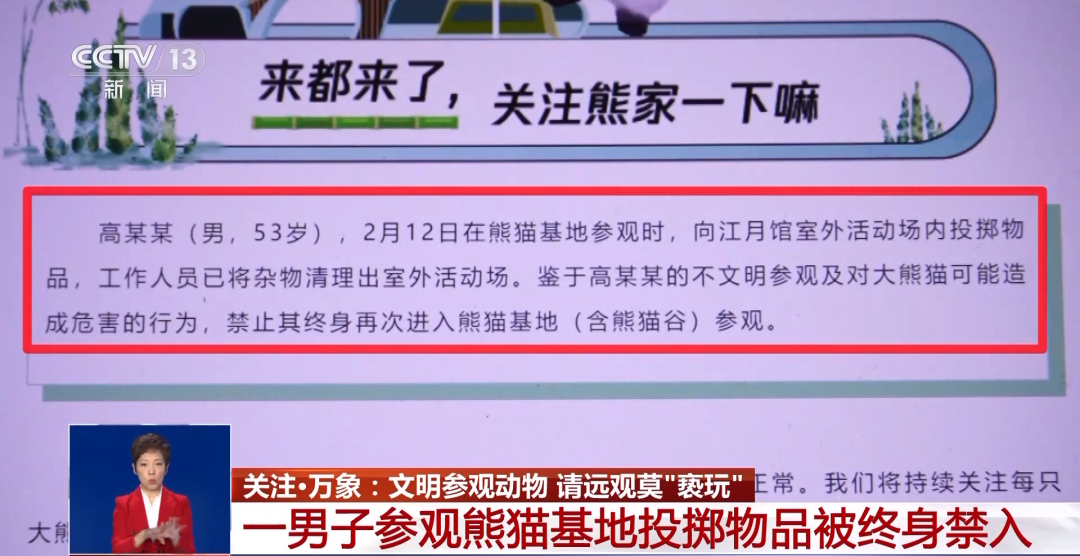 又有游客被終身禁入，為什么不能隨意投喂大熊貓？