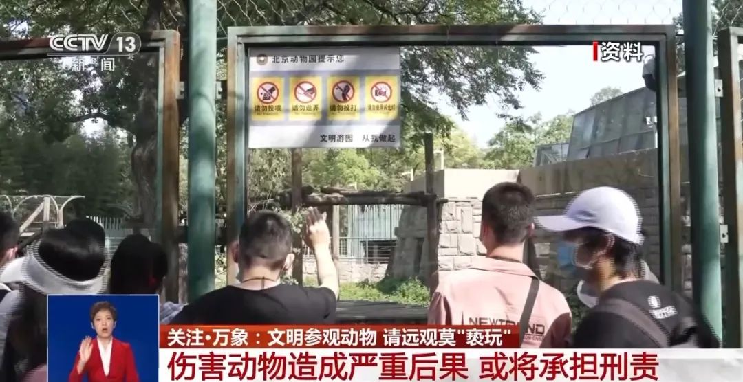 又有游客被終身禁入，為什么不能隨意投喂大熊貓？