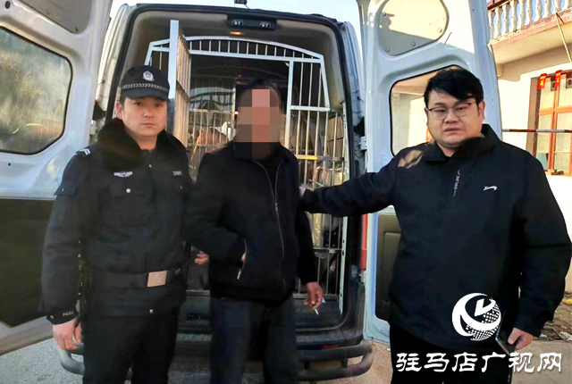 “執(zhí)”守新春丨大年初七，平輿縣人民法院集中執(zhí)行出擊！