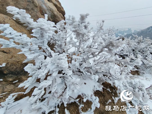 美呆了！羅漢山開啟雪凇、霧凇雙景齊現(xiàn)模式