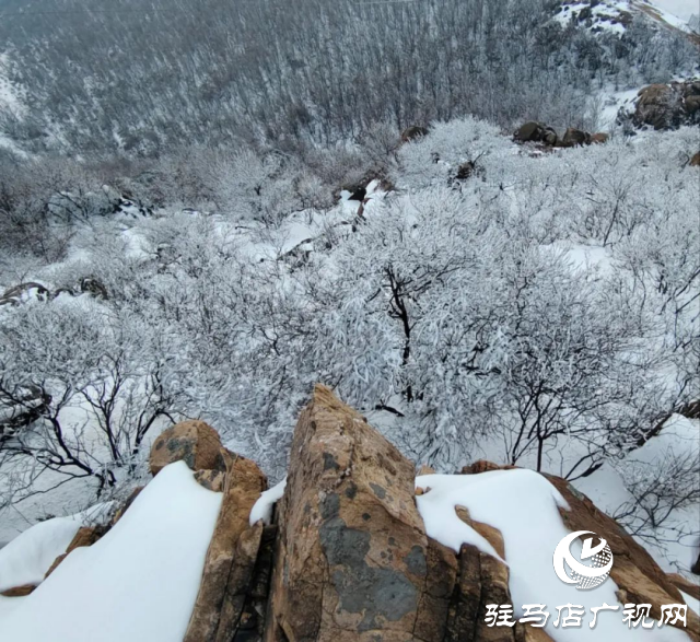 美呆了！羅漢山開啟雪凇、霧凇雙景齊現(xiàn)模式