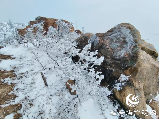 美呆了！羅漢山開啟雪凇、霧凇雙景齊現(xiàn)模式