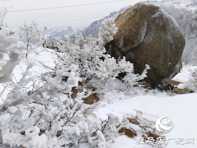 美呆了！羅漢山開啟雪凇、霧凇雙景齊現(xiàn)模式