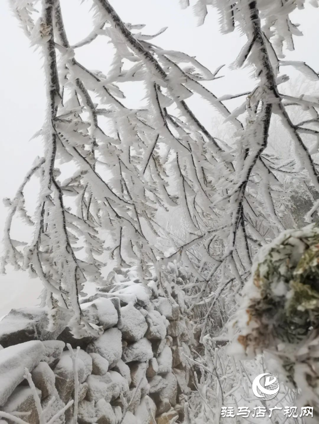 美呆了！羅漢山開啟雪凇、霧凇雙景齊現(xiàn)模式
