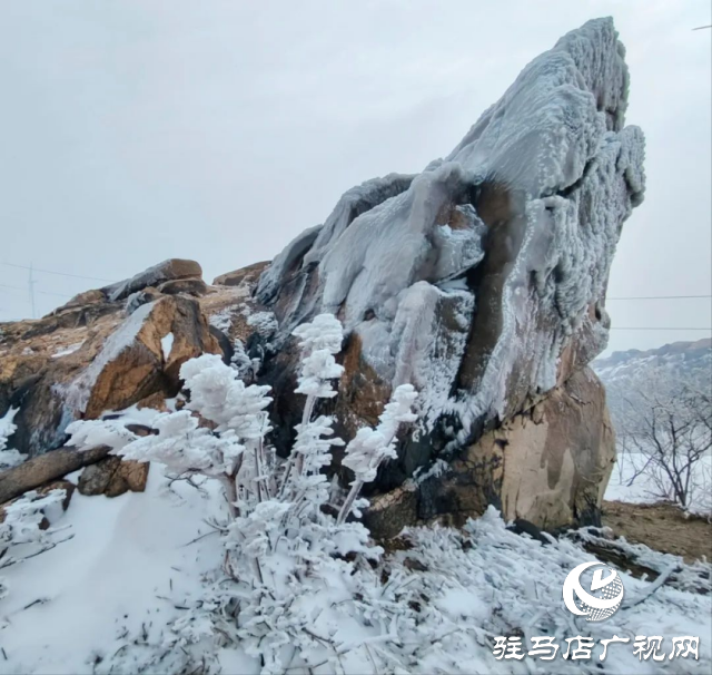 美呆了！羅漢山開啟雪凇、霧凇雙景齊現(xiàn)模式