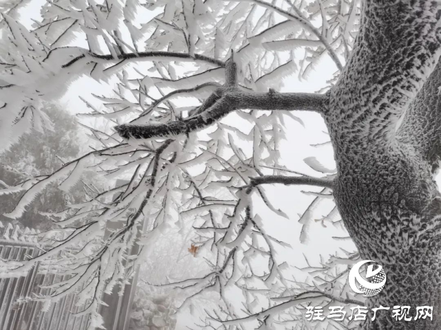 美呆了！羅漢山開啟雪凇、霧凇雙景齊現(xiàn)模式