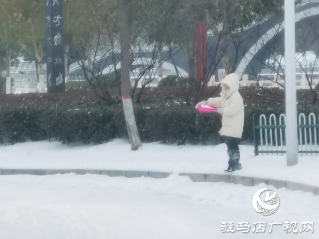 2024年后這場大雪你滑雪了嗎?快來看看各種各樣的滑雪模式！