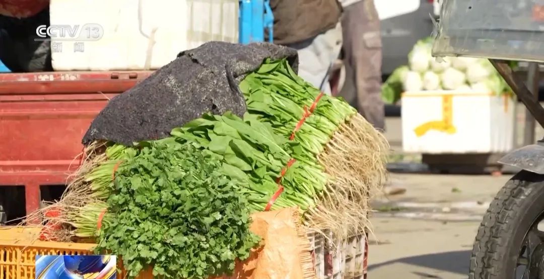 轉(zhuǎn)賣芹菜賺14元被罰10萬(wàn)，這樣的處罰合理嗎？