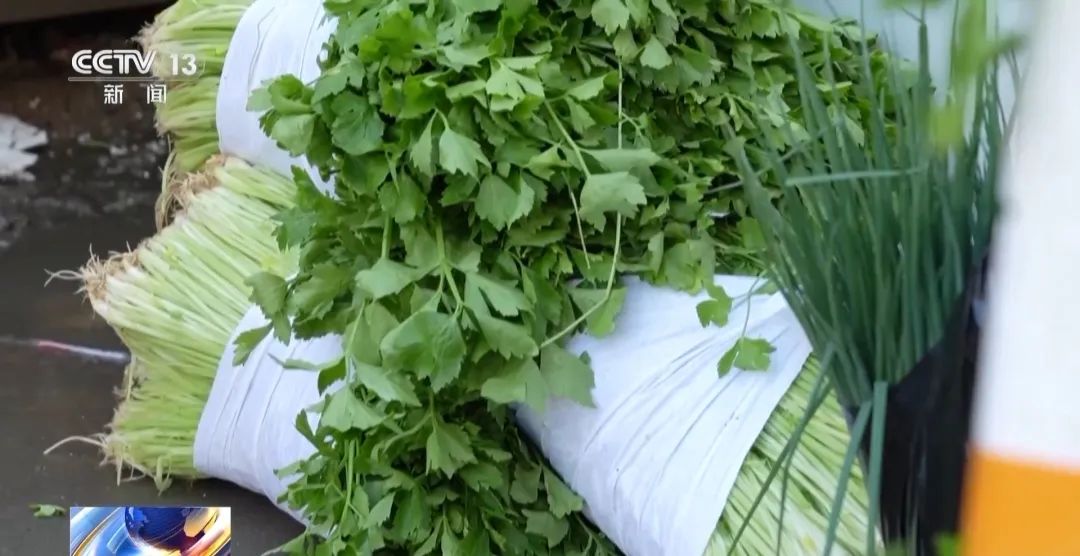 轉(zhuǎn)賣芹菜賺14元被罰10萬(wàn)，這樣的處罰合理嗎？