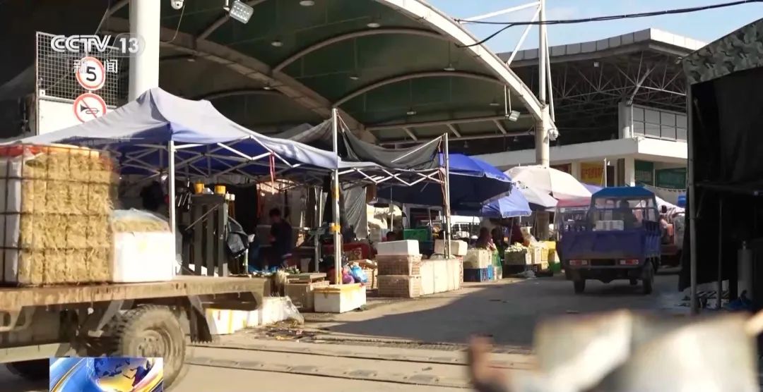 轉(zhuǎn)賣芹菜賺14元被罰10萬(wàn)，這樣的處罰合理嗎？