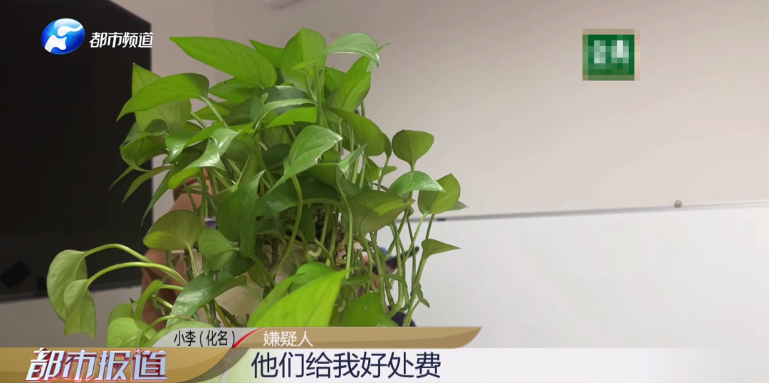 出借身份證，莫名成“法人”！竟還涉嫌洗錢？