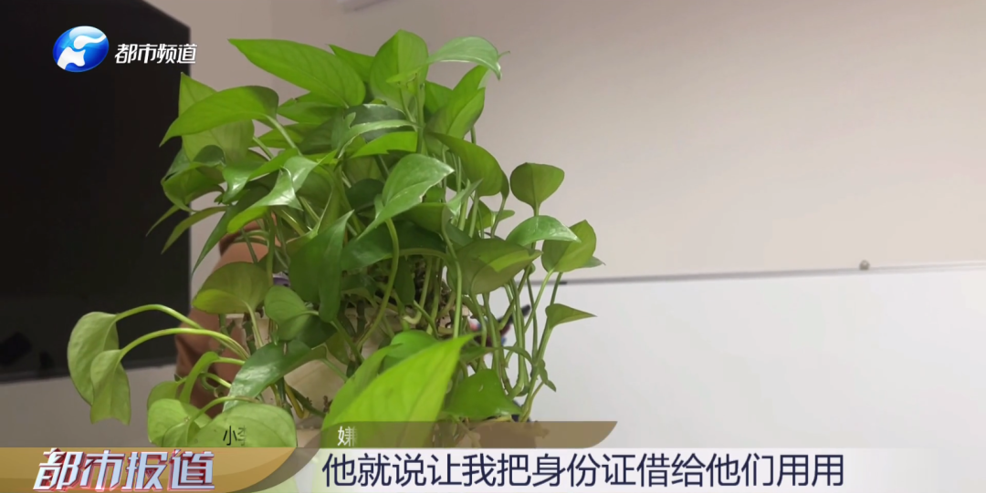 出借身份證，莫名成“法人”！竟還涉嫌洗錢？