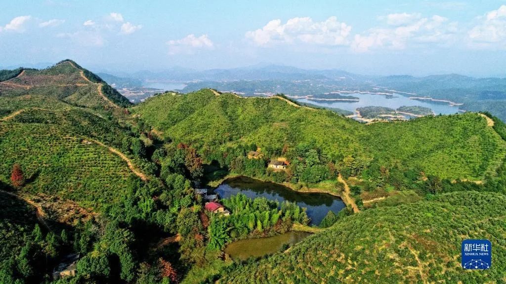 &ldquo;白雪換白銀換來(lái)了嗎？&rdquo;｜兩會(huì)問(wèn)答&middot;總書(shū)記的牽掛⑤