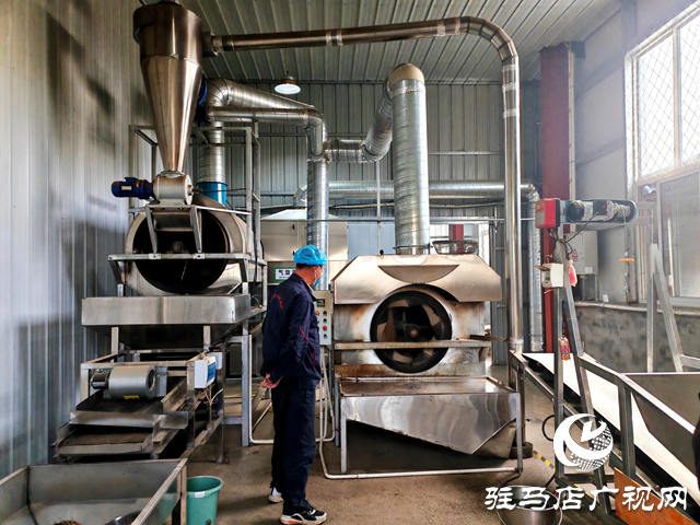 平輿縣古槐街道南陳社區(qū)：發(fā)展壯大白芝麻種植和加工產(chǎn)業(yè) 加快推進共同富裕加工園建設