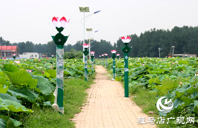 2024年全國夏季“村晚”示范展示點公布，平輿縣西洋店鎮(zhèn)西洋潭村榜上有名