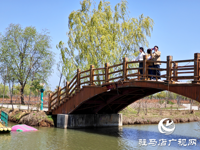 2024年全國夏季“村晚”示范展示點公布，平輿縣西洋店鎮(zhèn)西洋潭村榜上有名