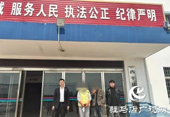 西平縣人民法院:一“執(zhí)”到底 切實維護群眾利益