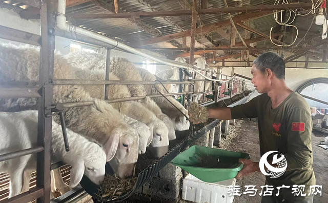 驛城區(qū)蟻蜂鎮(zhèn)紅云家庭農(nóng)場(chǎng)：發(fā)展生態(tài)農(nóng)業(yè) 走上致富之路