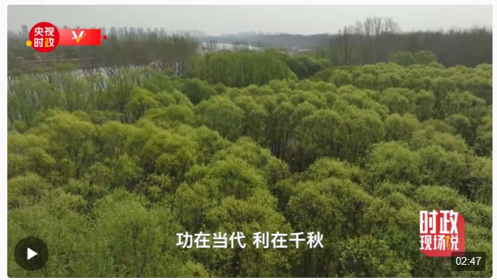 時(shí)政現(xiàn)場(chǎng)說(shuō)丨植樹添新綠 不負(fù)好時(shí)節(jié)