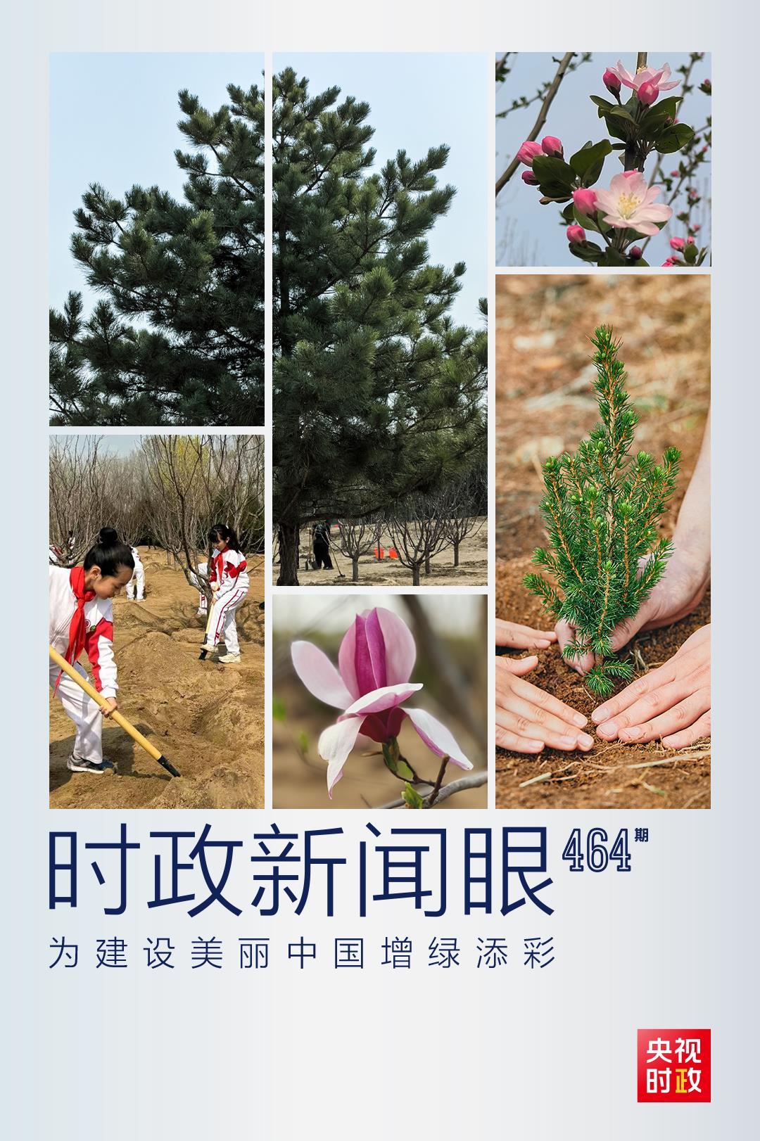 時(shí)政新聞眼丨再次參加首都義務(wù)植樹(shù)活動(dòng)，習(xí)近平強(qiáng)調(diào)綠化祖國(guó)要三者并舉