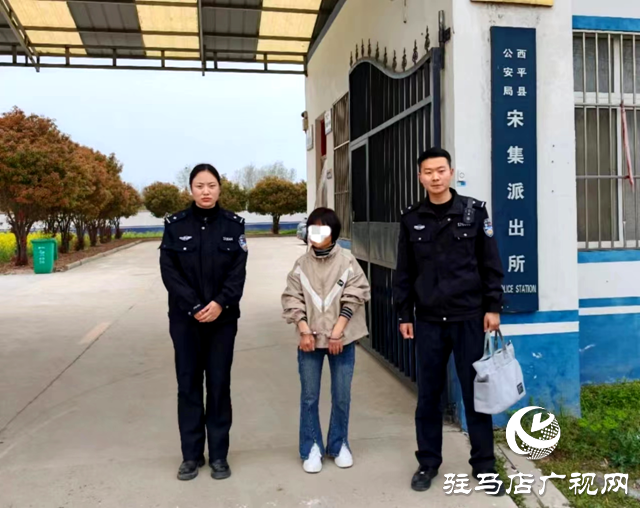西平縣:女子謊報(bào)案情被拘留