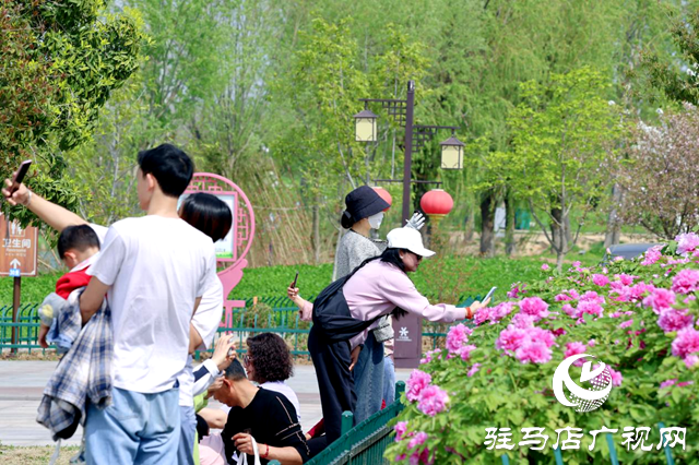 清明假期，汝南縣文旅市場“多點開花”