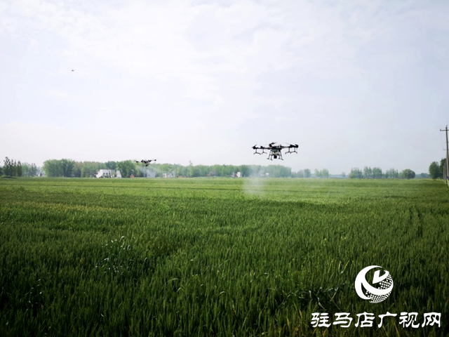 確保小麥增產(chǎn)豐收  駐馬店保險行業(yè)來助力