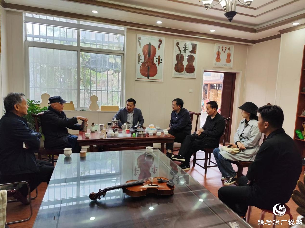 駐馬店民協(xié)調(diào)研提琴文化