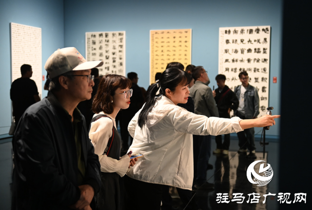 泌陽縣書法家協(xié)會(huì)會(huì)員齊聚，共賞全國第十三屆書法篆刻展