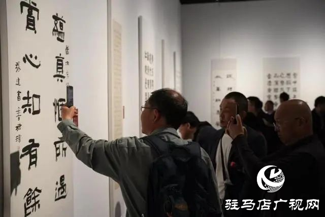 泌陽縣書法家協(xié)會(huì)會(huì)員齊聚，共賞全國第十三屆書法篆刻展