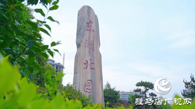 新蔡縣：邂逅一場(chǎng)初夏的浪漫