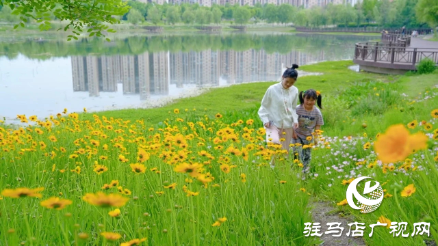 新蔡縣：邂逅一場(chǎng)初夏的浪漫