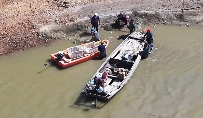 毀林種咖啡、江豚慘死 中央生態(tài)環(huán)保督察通報(bào)七地典型案例