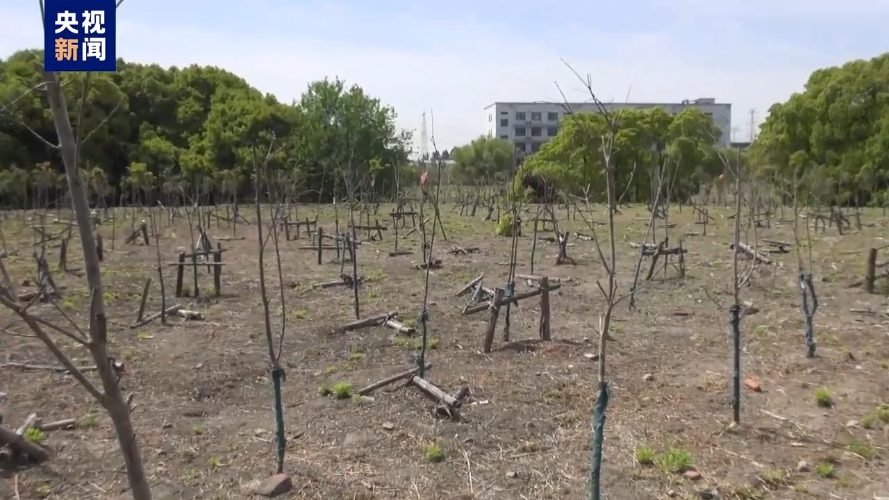 毀林種咖啡、江豚慘死 中央生態(tài)環(huán)保督察通報七地典型案例