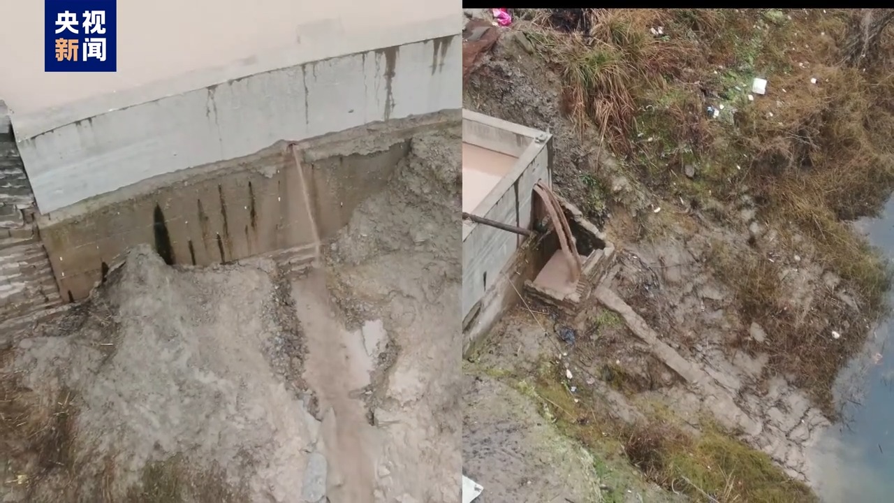 毀林種咖啡、江豚慘死 中央生態(tài)環(huán)保督察通報七地典型案例