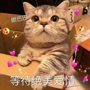 “520”送束“現(xiàn)金花”？有點說“法”！