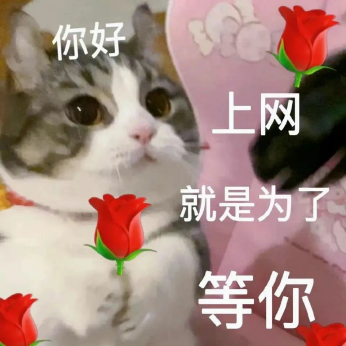 “520”送束“現(xiàn)金花”？有點說“法”！