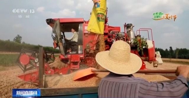 農(nóng)機(jī)“移動(dòng)醫(yī)院”、追農(nóng)機(jī)跑的工程師……這兒的夏收有點(diǎn)不一樣