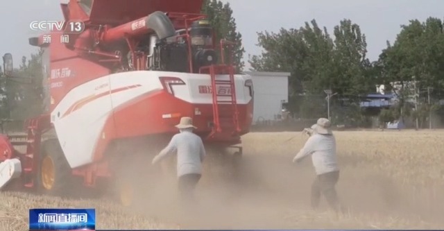 農(nóng)機(jī)“移動(dòng)醫(yī)院”、追農(nóng)機(jī)跑的工程師……這兒的夏收有點(diǎn)不一樣