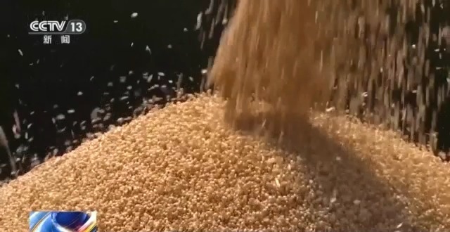 農(nóng)機(jī)“移動(dòng)醫(yī)院”、追農(nóng)機(jī)跑的工程師……這兒的夏收有點(diǎn)不一樣