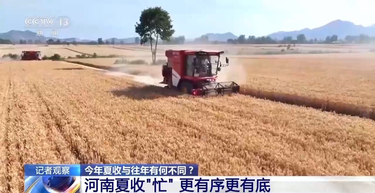 秸稈經(jīng)紀(jì)人、智能化新農(nóng)機(jī)……今年夏收有何不同？
