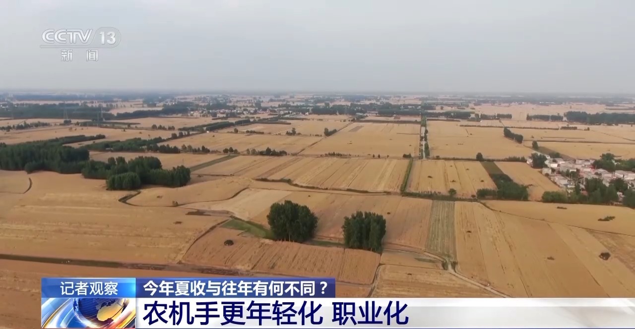 秸稈經(jīng)紀(jì)人、智能化新農(nóng)機(jī)……今年夏收有何不同？