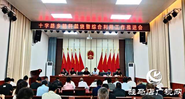 平輿縣十字路鄉(xiāng)：多種舉措扛穩(wěn)“肩頭責(zé)” 全力打好“夏收”主動仗