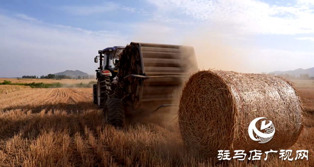 泌陽(yáng)縣：畜牧養(yǎng)殖讓秸稈變廢為寶