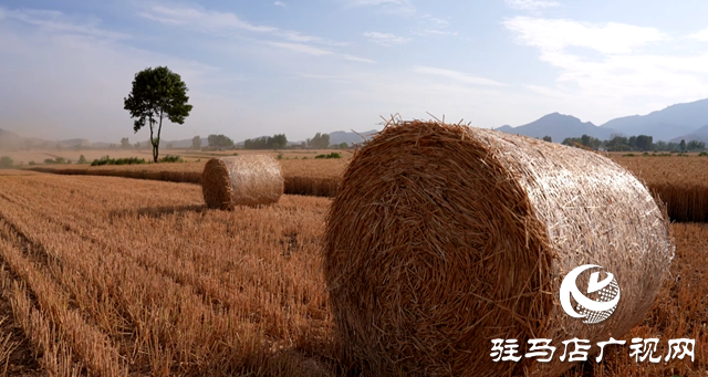 泌陽(yáng)縣：畜牧養(yǎng)殖讓秸稈變廢為寶