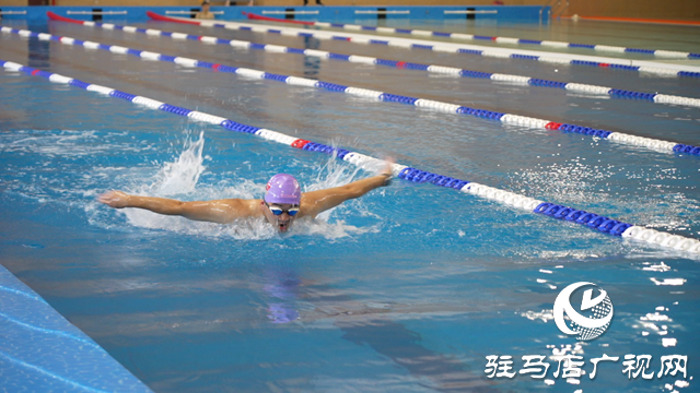 駐馬店:游泳館人氣漸旺 避暑降溫好去處